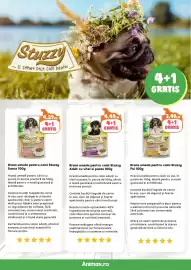 Magazine Animax Pagină 4