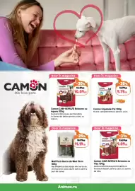 Magazine Animax Pagină 5