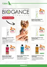 Magazine Animax Pagină 8