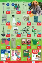 Budni Prospekt woche 16 Seite 7