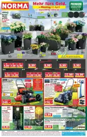 Norma Prospekt woche 16 Seite 1