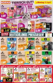 Norma Prospekt woche 16 Seite 10