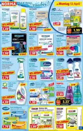 Norma Prospekt woche 16 Seite 11