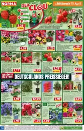Norma Prospekt woche 16 Seite 16