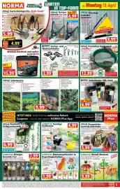 Norma Prospekt woche 16 Seite 3