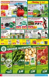 Norma Prospekt woche 16 Seite 6