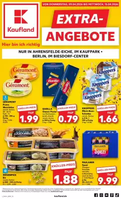 Kaufland (gültig bis 15-04)