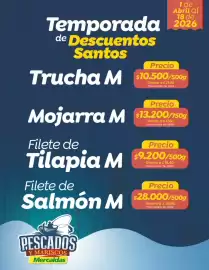 Catálogo Mercaldas Página 1