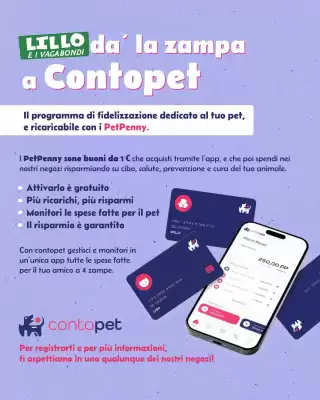 Lillo e i Vagabondi (valido fino al 18-04)