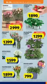 ALDI akciós újság hét 15 Oldal 5