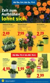 Lidl Flugblatt woche 15 Seite 28