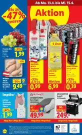 Lidl Flugblatt woche 15 Seite 29