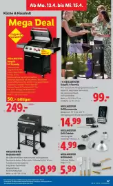 Lidl Flugblatt woche 15 Seite 30