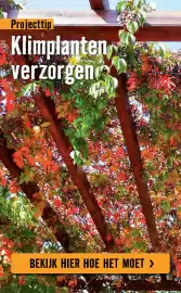 Hornbach folder Pagina 11