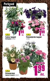 Hornbach folder Pagina 12