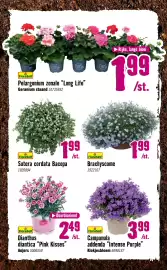 Hornbach folder Pagina 13