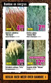 Hornbach folder Pagina 15