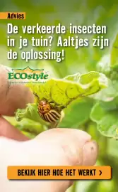 Hornbach folder Pagina 21