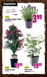 Hornbach folder Pagina 22