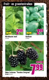 Hornbach folder Pagina 26