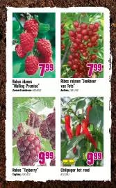 Hornbach folder Pagina 27