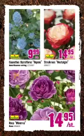 Hornbach folder Pagina 3