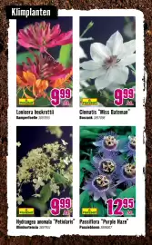 Hornbach folder Pagina 7