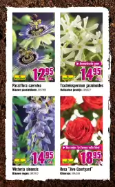 Hornbach folder Pagina 8