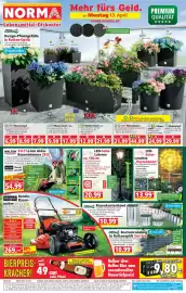 Norma Prospekt woche 16 Seite 1