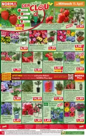 Norma Prospekt woche 16 Seite 16