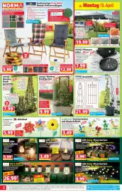 Norma Prospekt woche 16 Seite 2