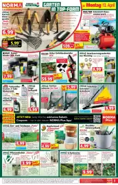 Norma Prospekt woche 16 Seite 3