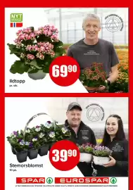 Spar kundeavis Side 15