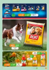 Eurocash gazetka Strona 67