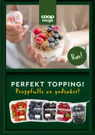 Coop Mega kundeavis uke 15 Side 16