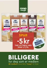 Coop Mega kundeavis uke 15 Side 17
