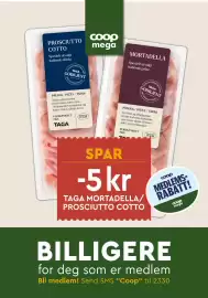 Coop Mega kundeavis uke 15 Side 20