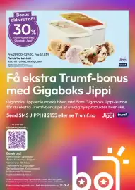 Gigaboks kundeavis Side 14
