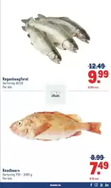 Makro folder | Food Pagina 19