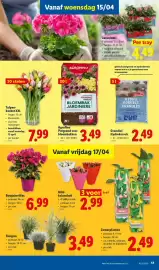Lidl folder week 16 Pagina 17