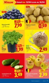 Lidl folder week 16 Pagina 3