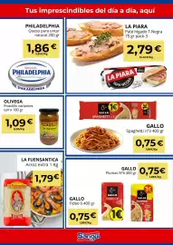 Folleto Sangüi Página 5