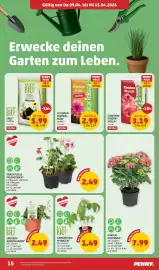 PENNY Flugblatt woche 15 Seite 15