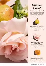 Catálogo Mary Kay Página 65