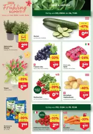 MPreis Flugblatt woche 15 Seite 2