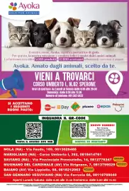 Volantino Extra Supermercati Pagina 16