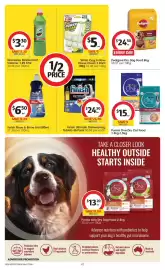 Coles catalogue week 15 Page 42