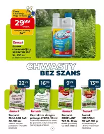 Mrówka gazetka Strona 11