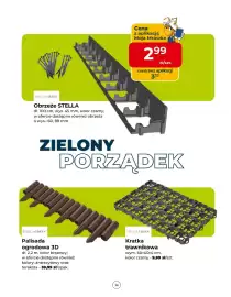 Mrówka gazetka Strona 24