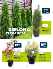 Mrówka gazetka Strona 3